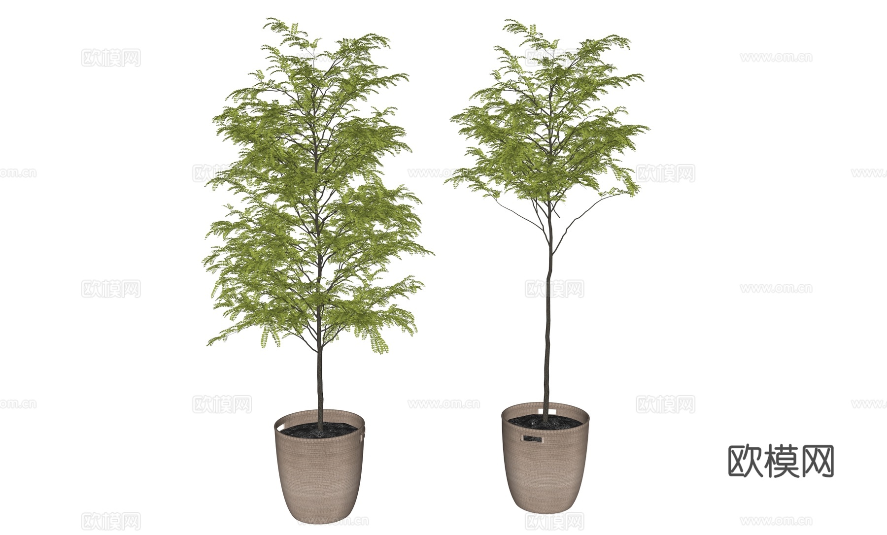 现代植物盆栽摆件su模型