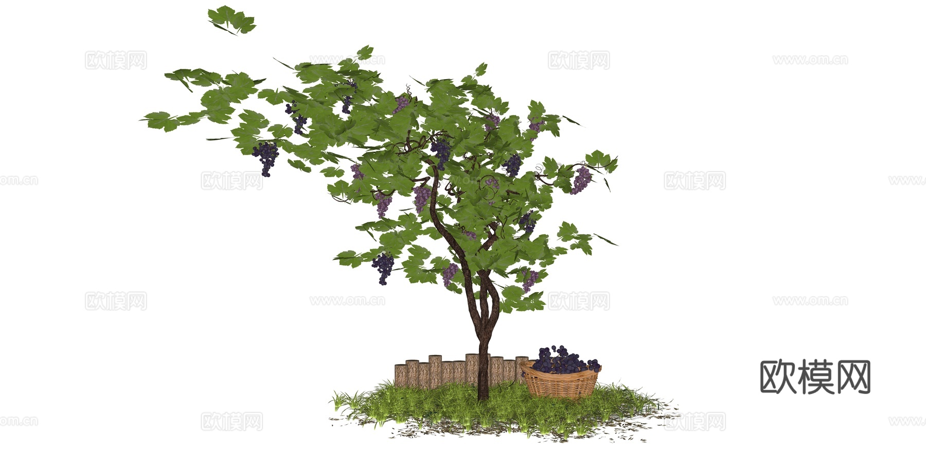 现代葡萄藤 灌木 葡萄 藤本植物 风格景观树su模型