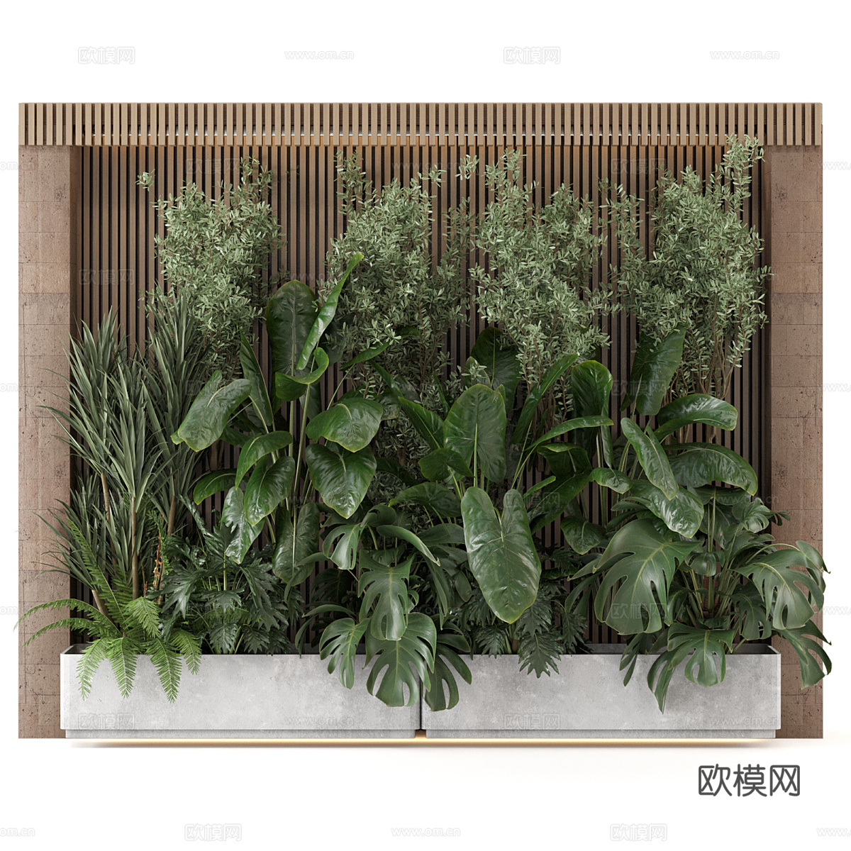 现代侘寂庭院绿植 植物墙 植物堆3d模型
