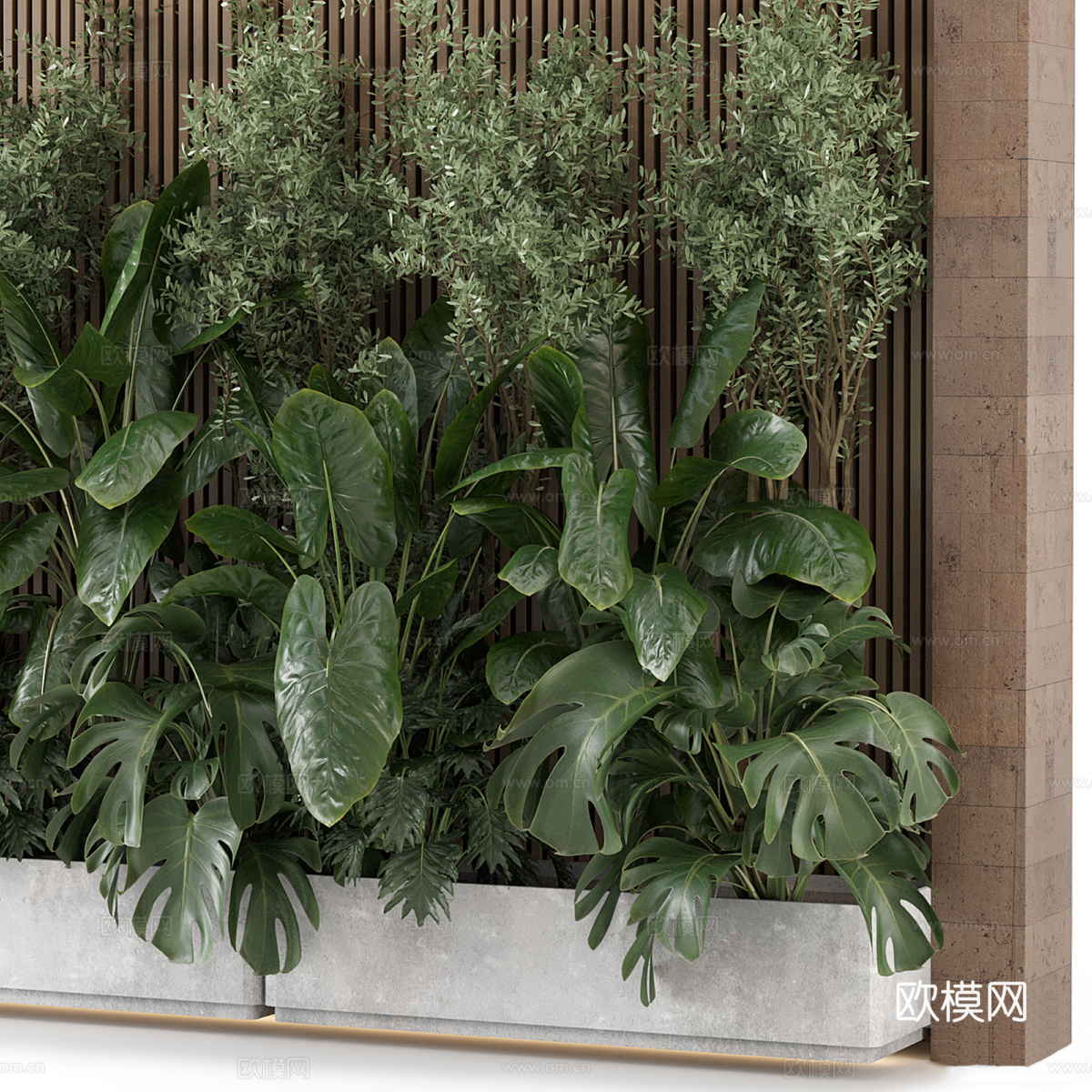 现代侘寂庭院绿植 植物墙 植物堆3d模型
