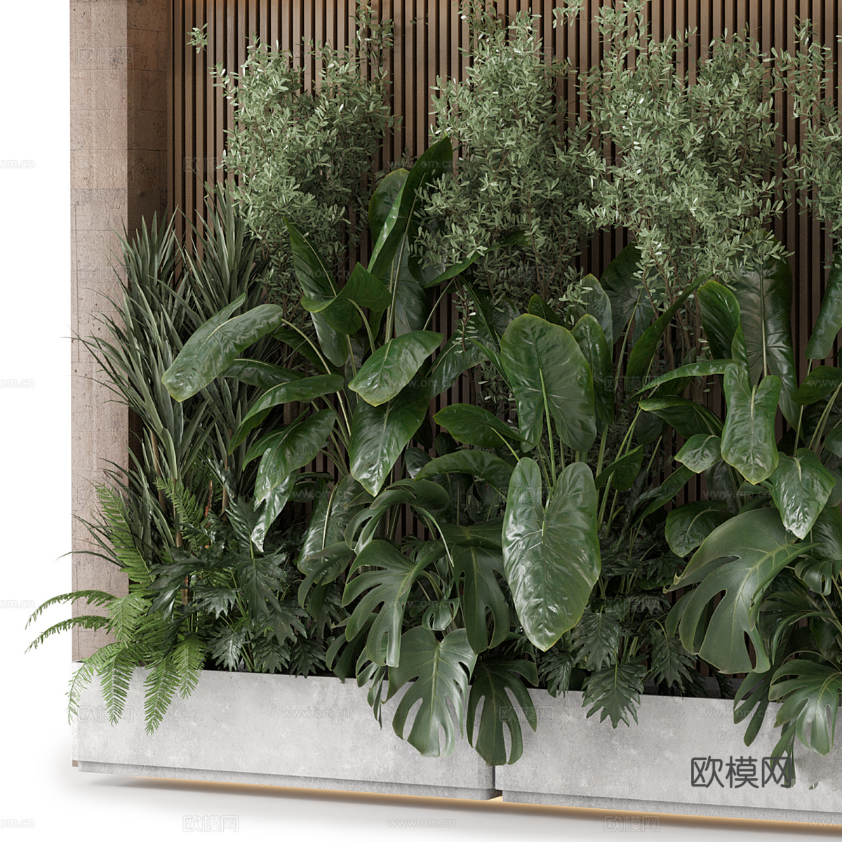 现代侘寂庭院绿植 植物墙 植物堆3d模型