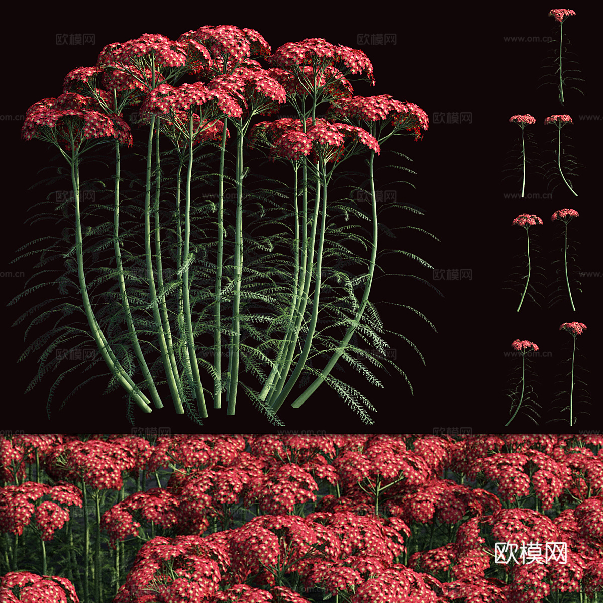 花草3d模型