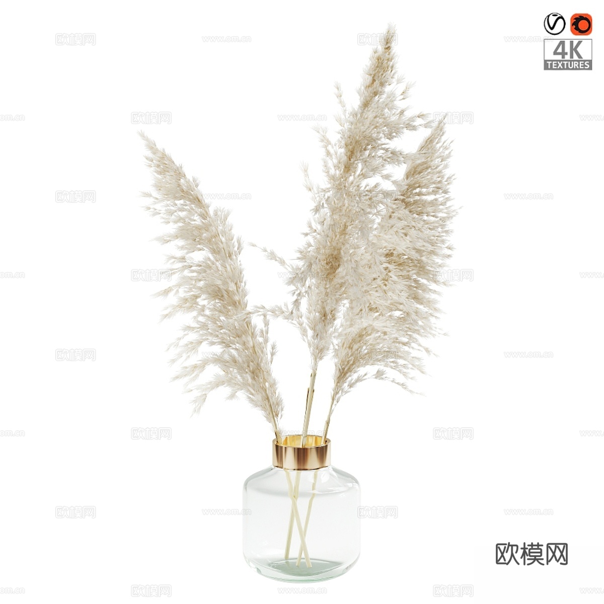 帕尔马草（Pampas grass）3d模型