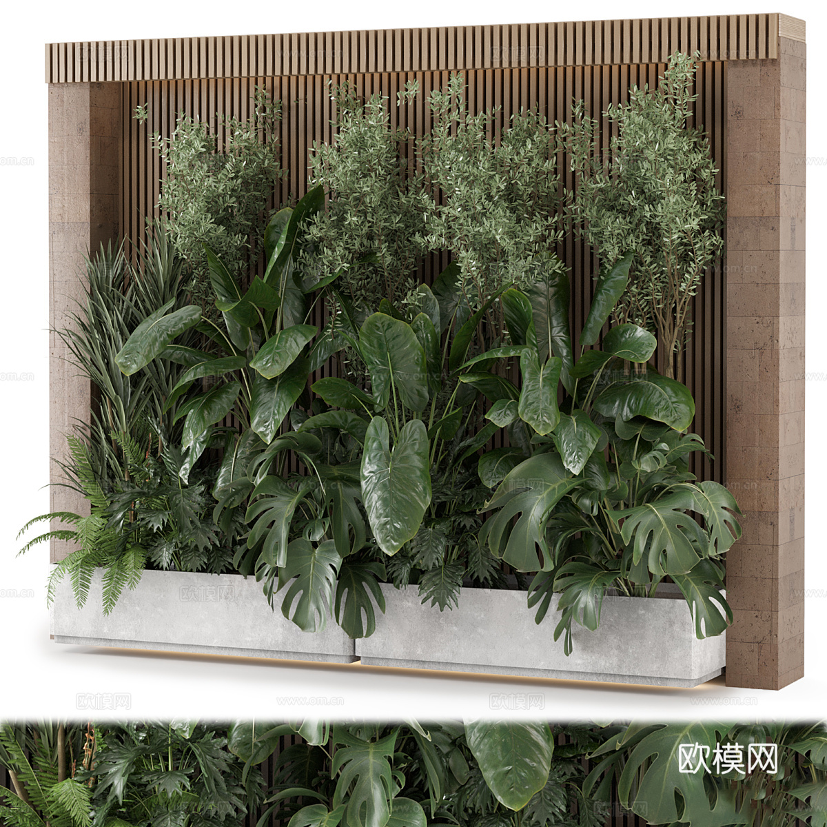 现代侘寂庭院绿植 植物墙 植物堆3d模型