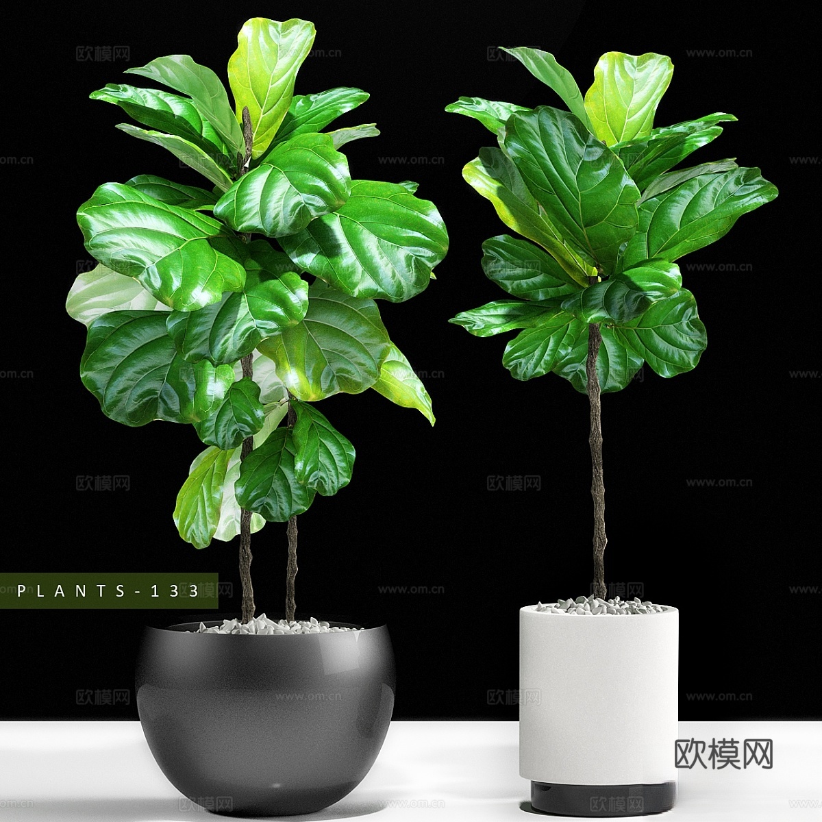 植物1333d模型