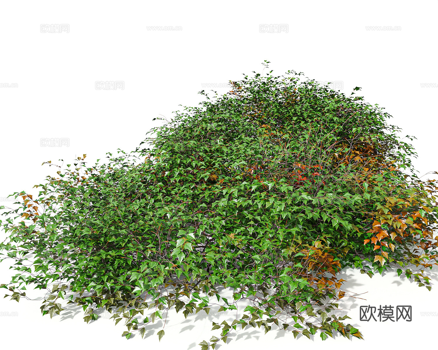 花草绿植绿植景观绿化3d模型
