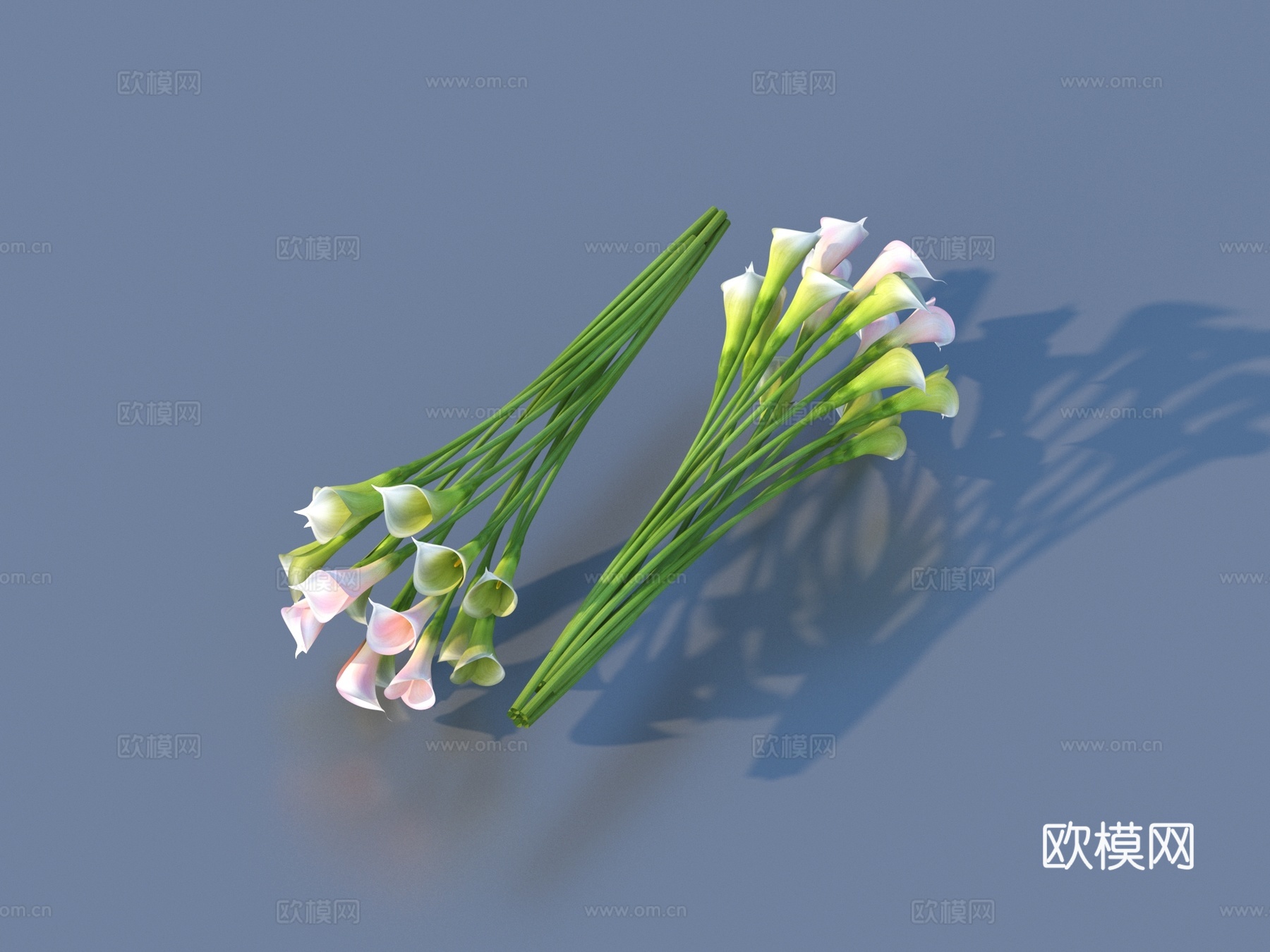 花 野花 绿植 花朵su模型