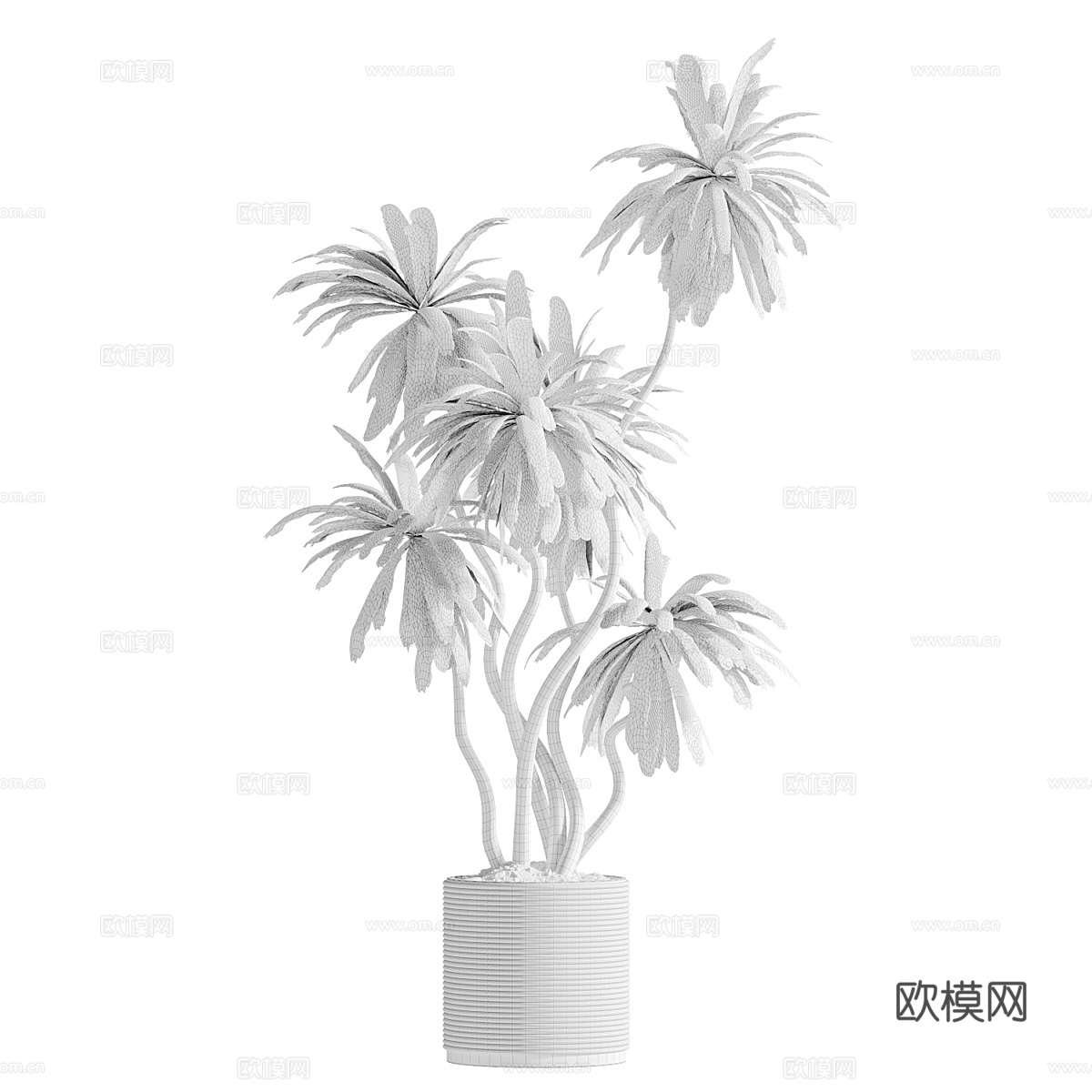 新中式绿植盆栽3d模型