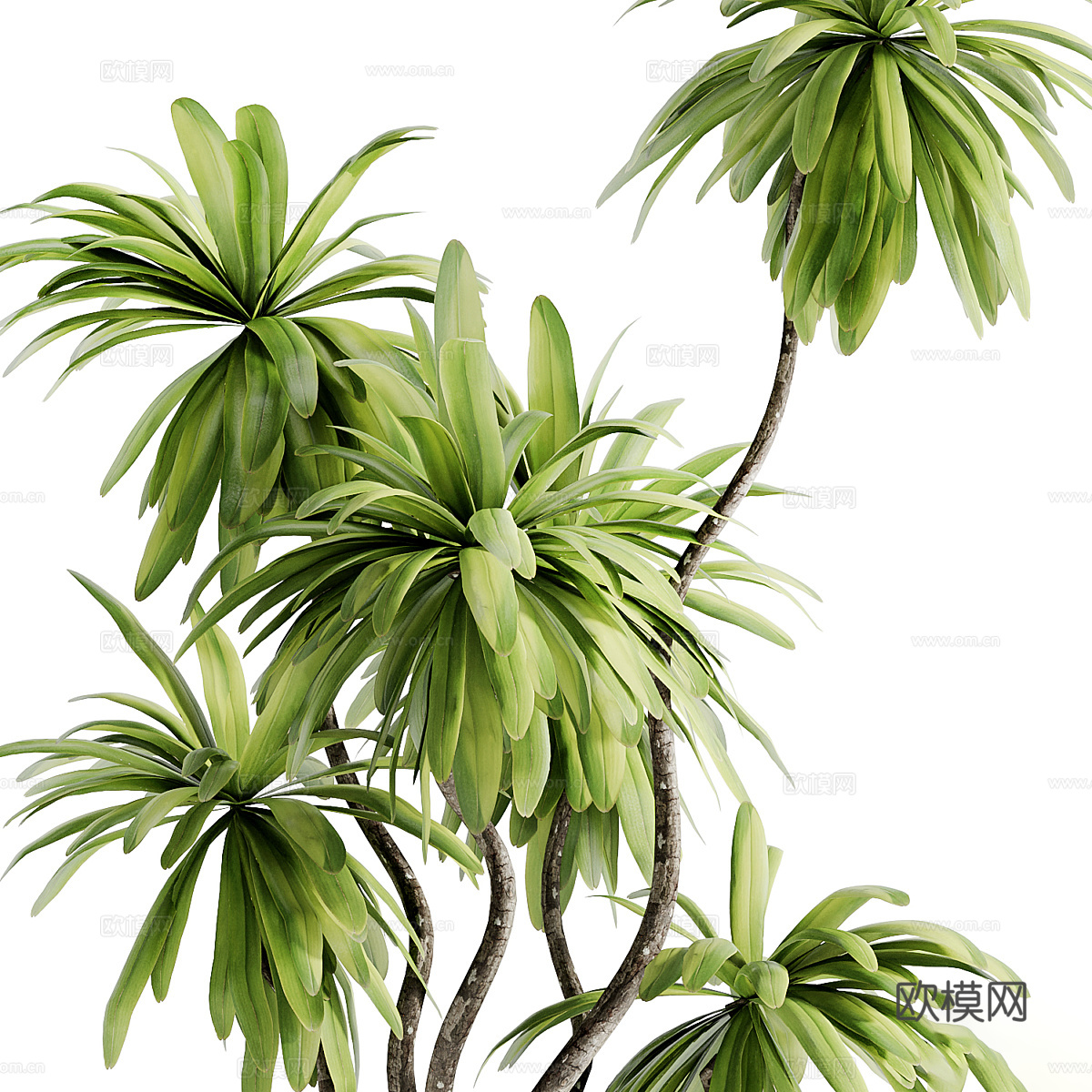新中式绿植盆栽3d模型