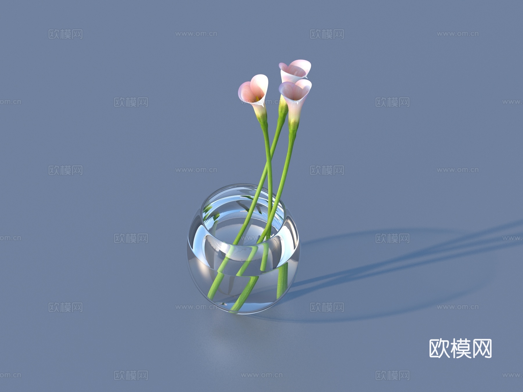 花 野花 绿植 花朵3d模型
