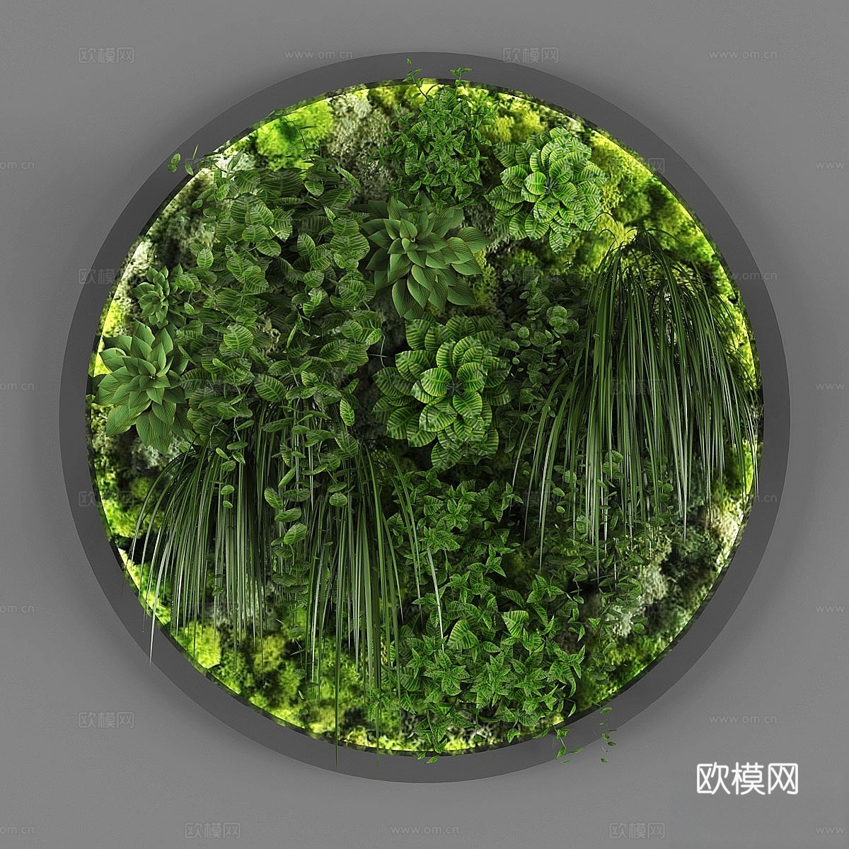 垂直花园 0723d模型
