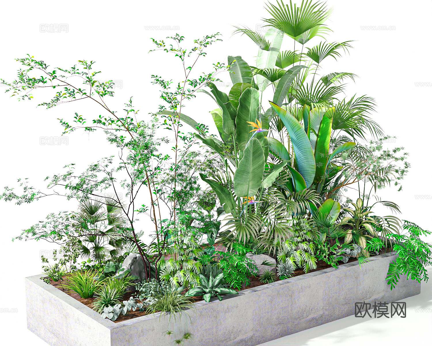 花草绿植景观绿化3d模型