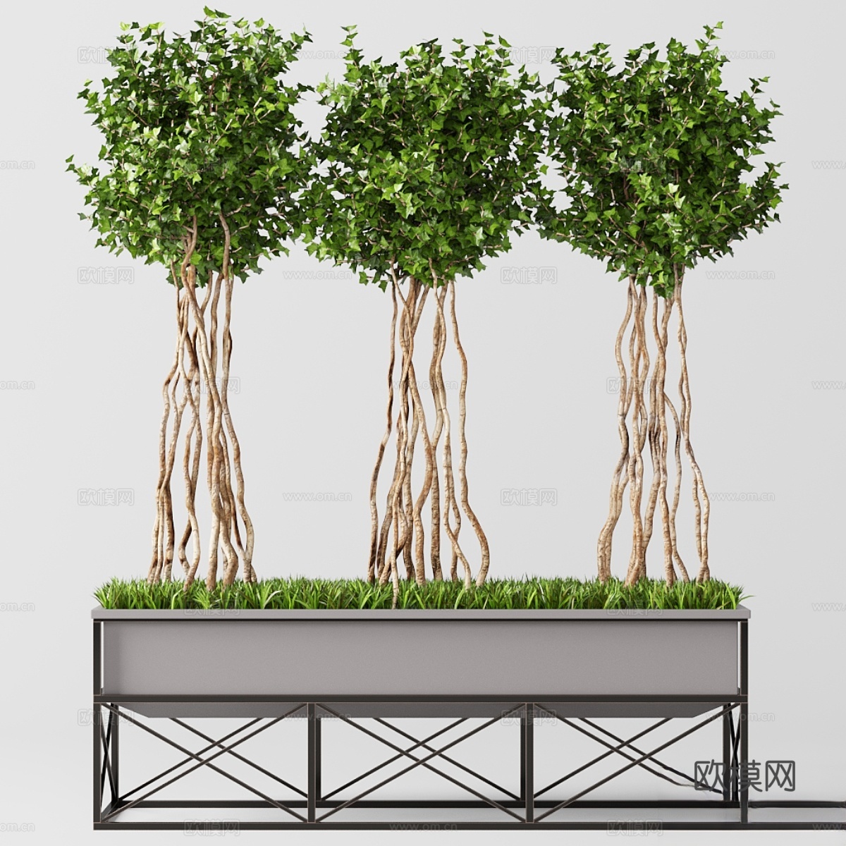 英格兰常春藤造型绿植3d模型