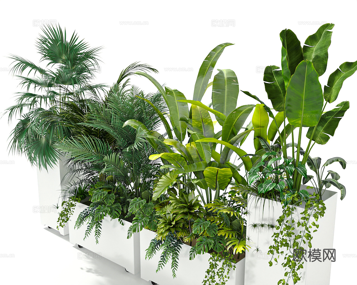 花草绿植景观绿化3d模型