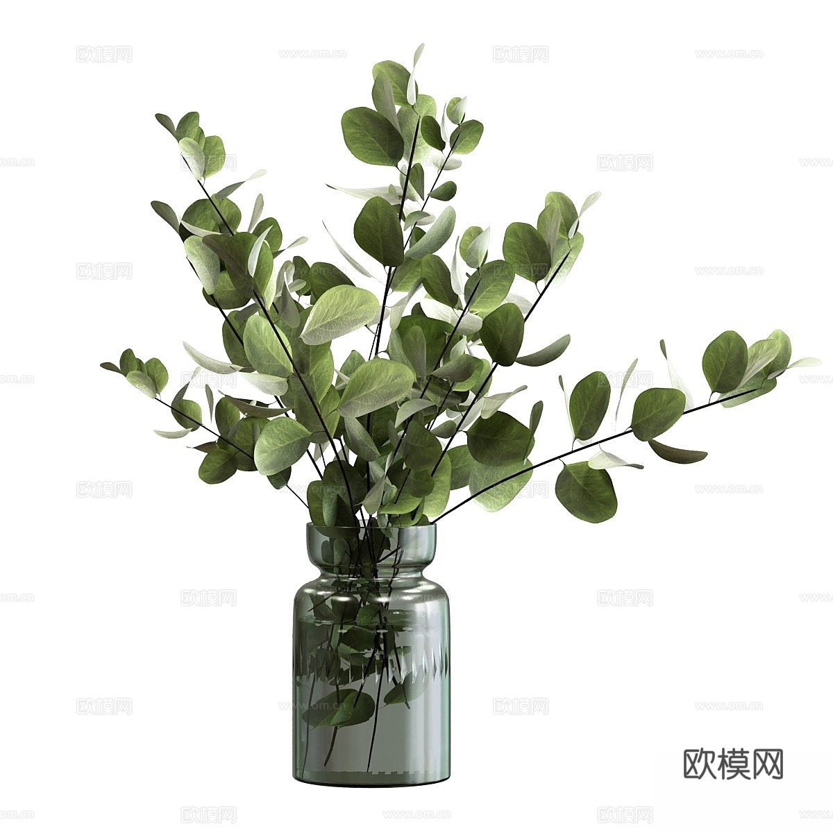 桉树枝花束3d模型