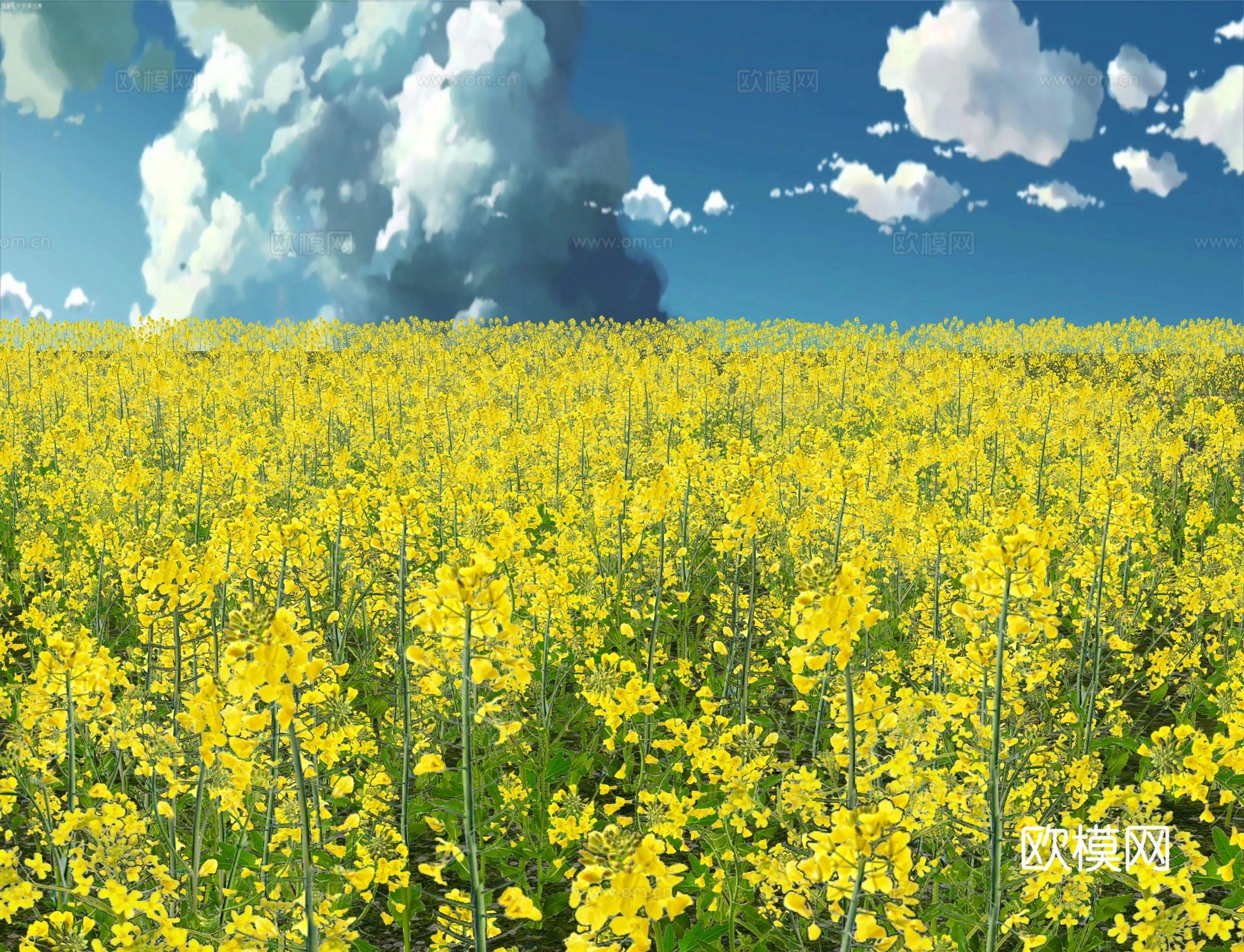 现代花草 油菜花菜地 花海景观植物 农业庄园景观su模型