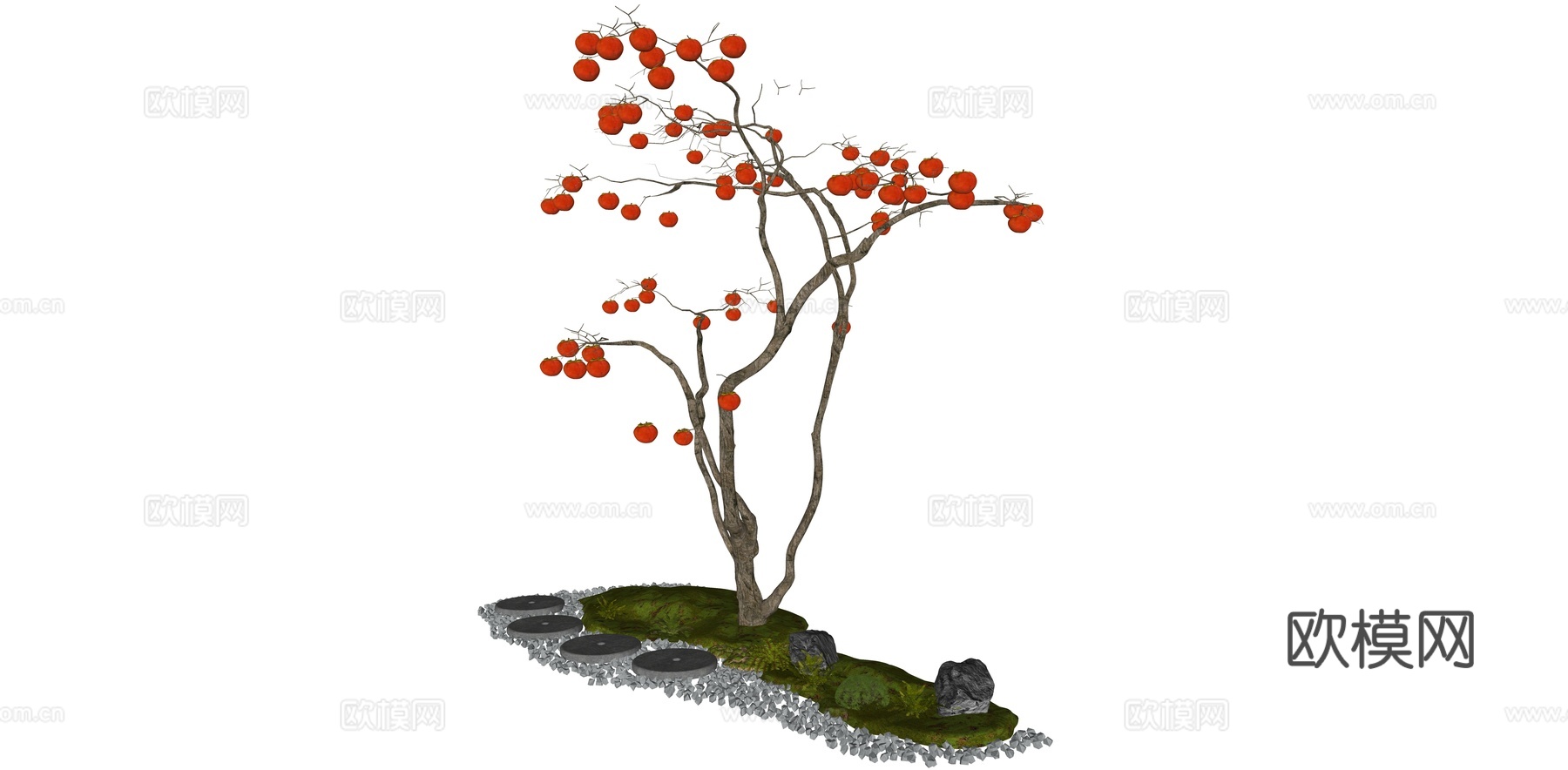 现代 乔木 景观树 果树 柿子树 庭院树 落叶乔木su模型