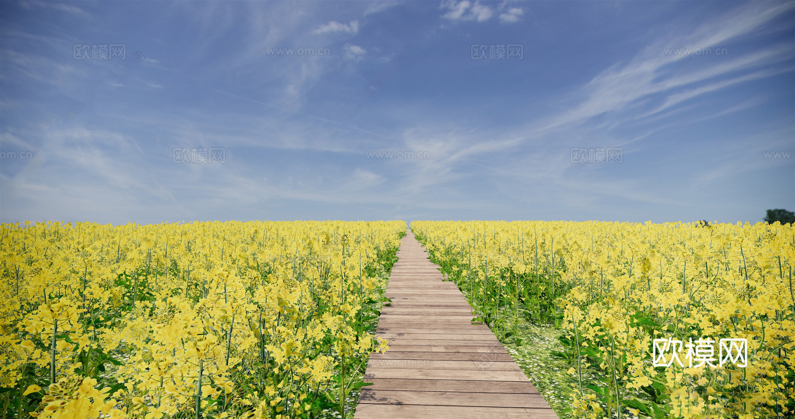 现代花草 油菜花菜地 花海景观植物 农业庄园景观su模型