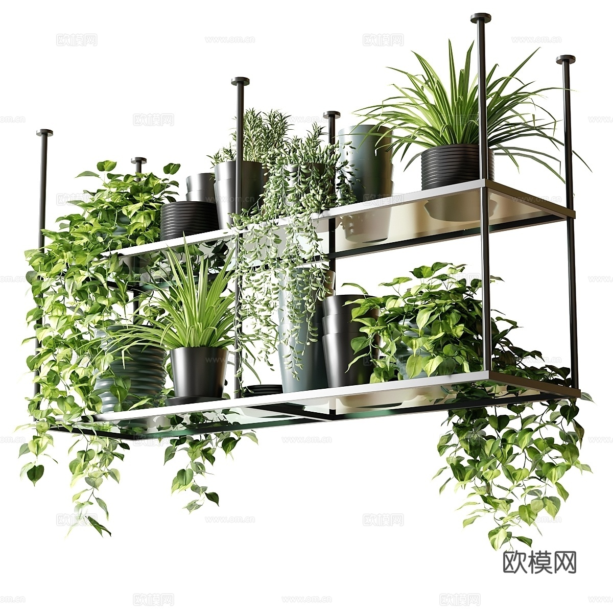 厨房用带植物的悬挂式层架3d模型