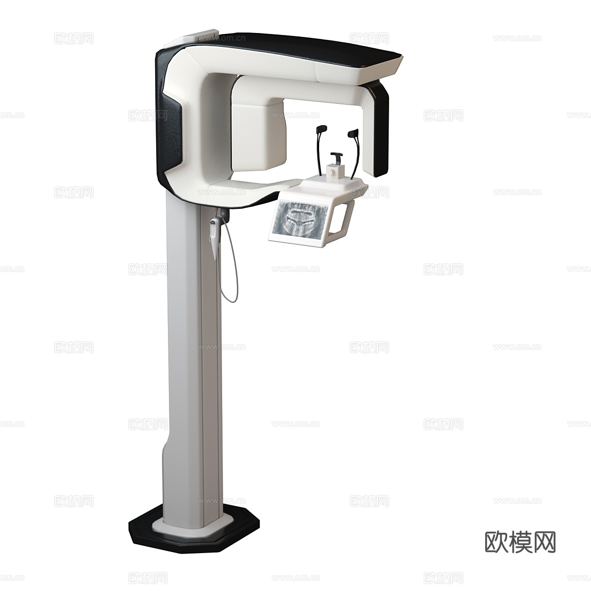 牙科X光大3d模型