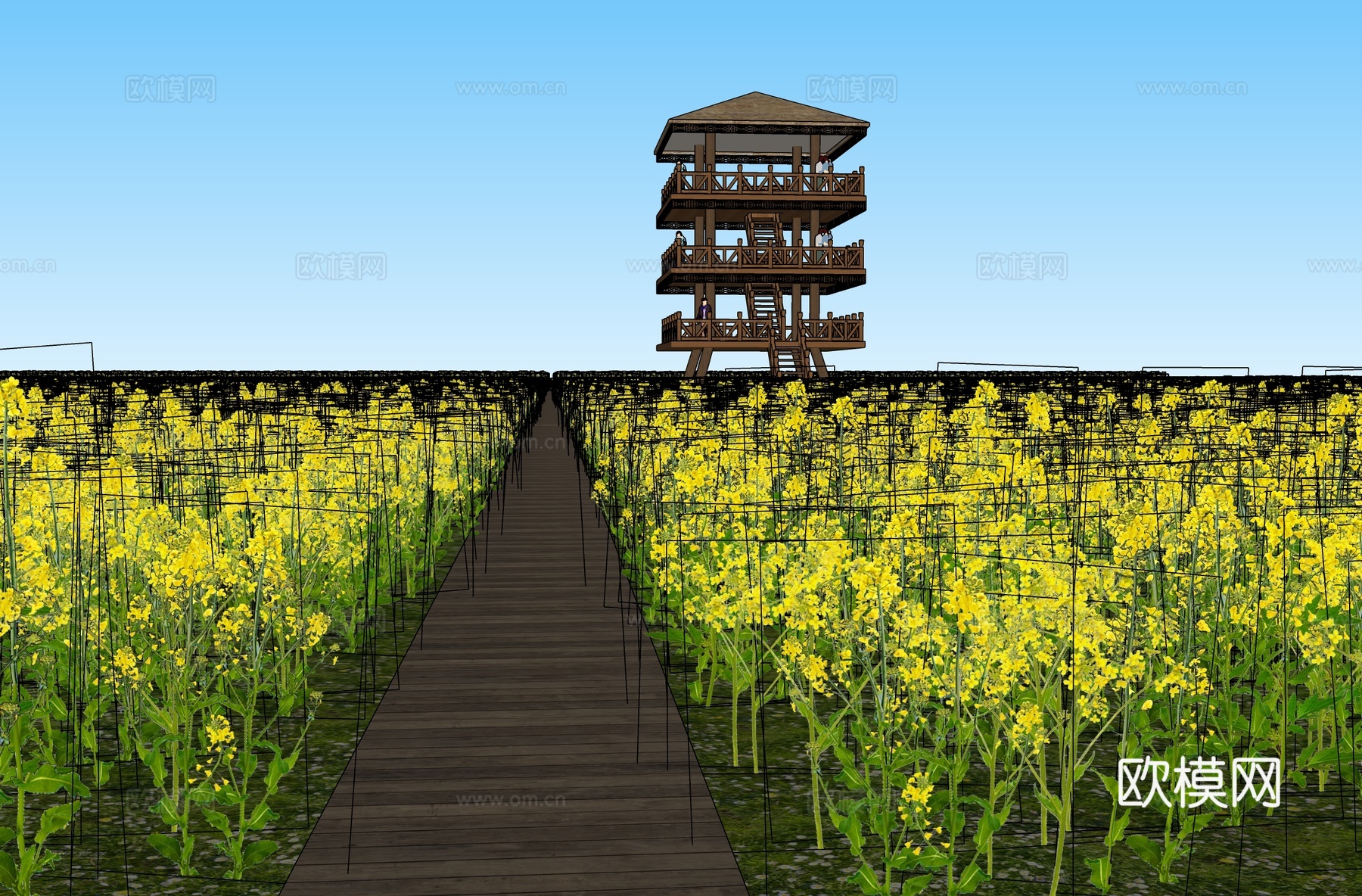 现代花草 油菜花菜地 花海景观植物 农业庄园景观su模型