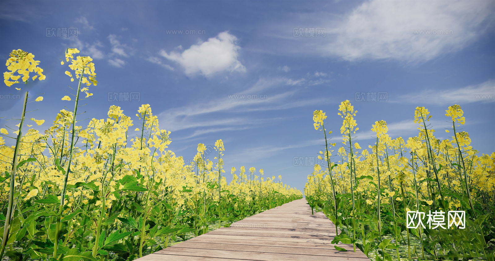 现代花草 油菜花菜地 花海景观植物 农业庄园景观su模型