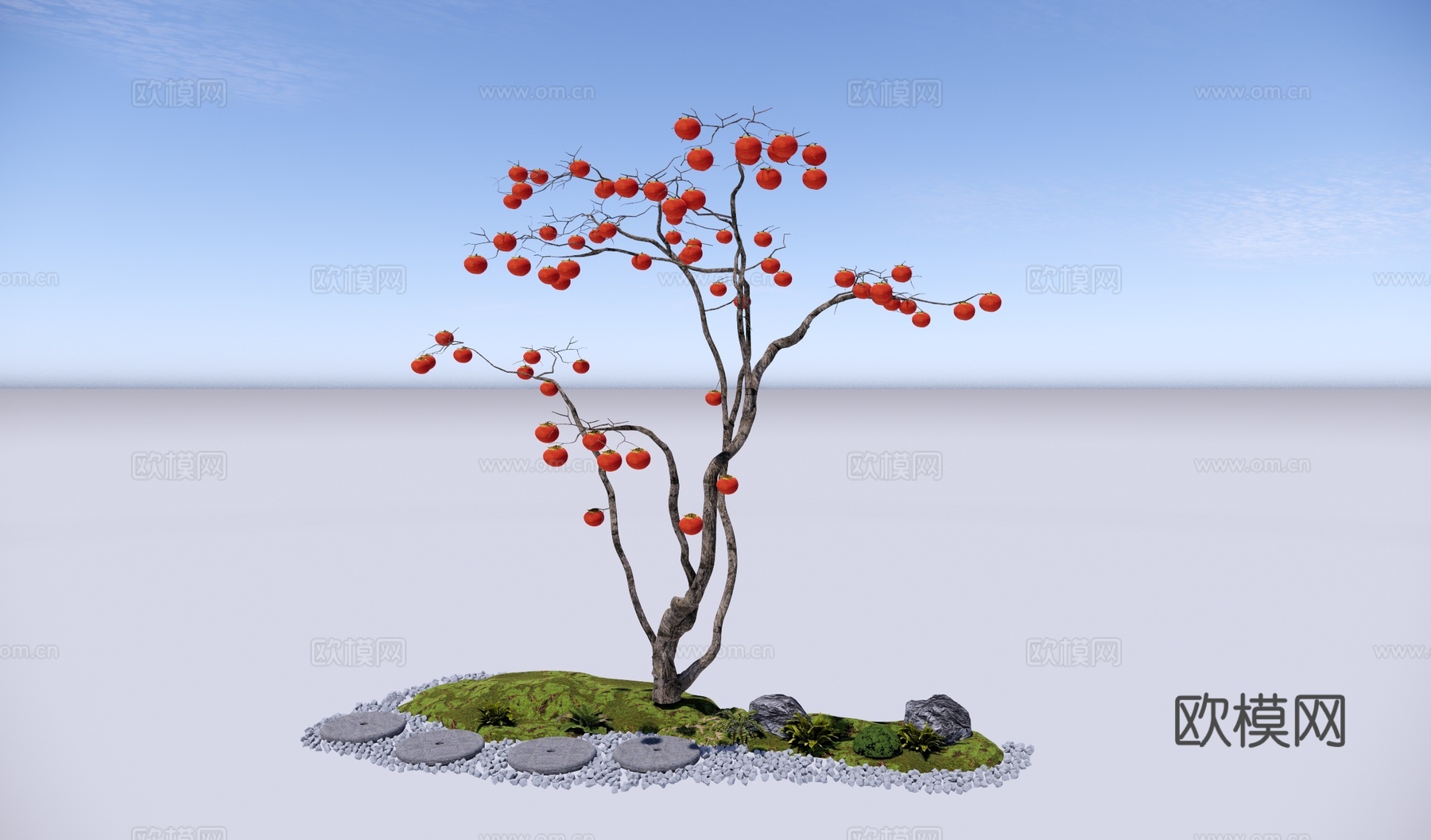 现代 乔木 景观树 果树 柿子树 庭院树 落叶乔木su模型