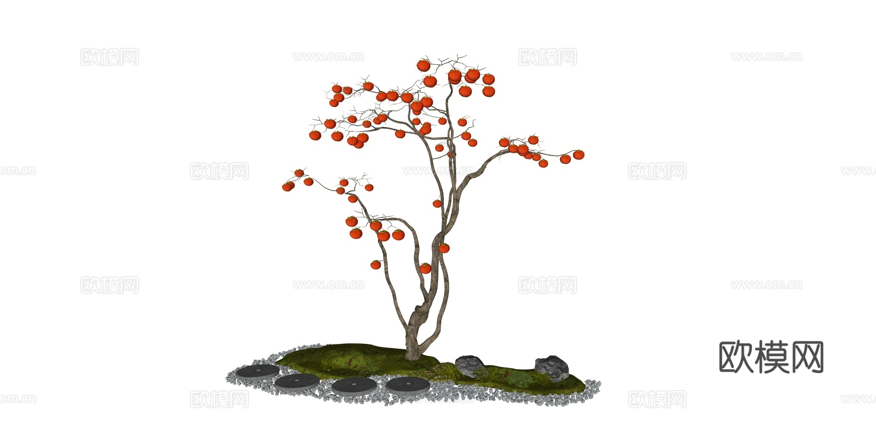 现代 乔木 景观树 果树 柿子树 庭院树 落叶乔木su模型