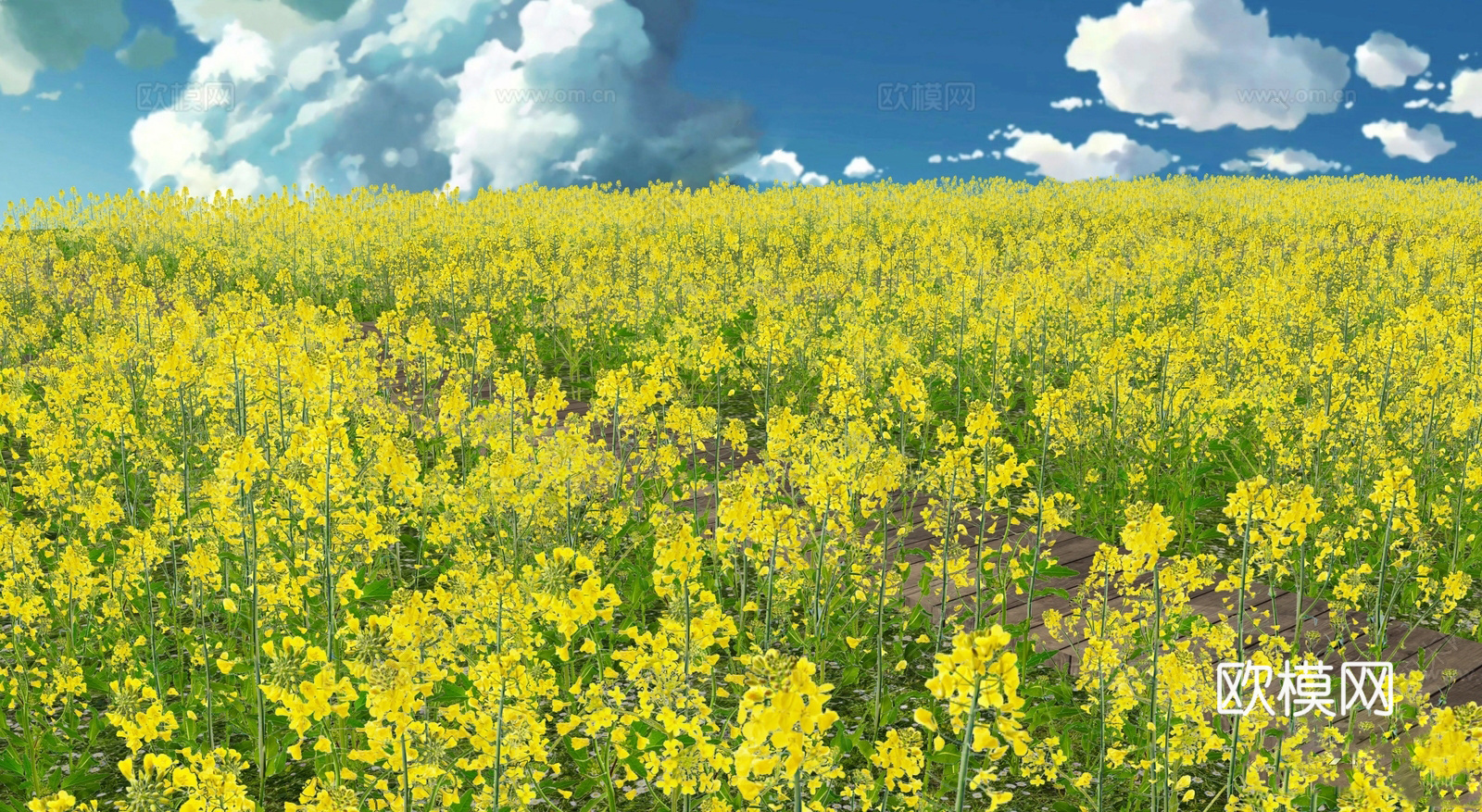 现代花草 油菜花菜地 花海景观植物 农业庄园景观su模型