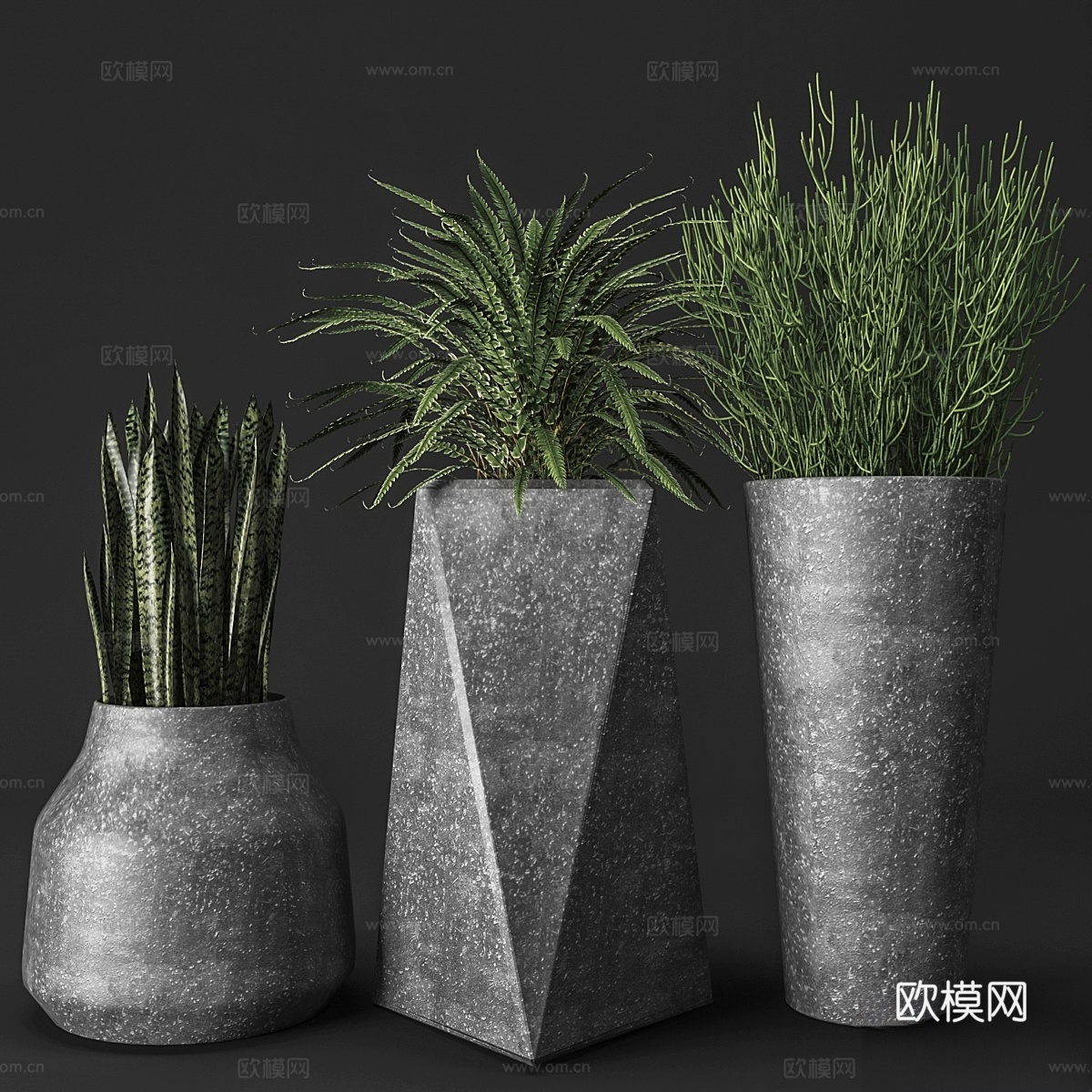混凝土花盆套装带植物，花盆，蕨类植物3d模型