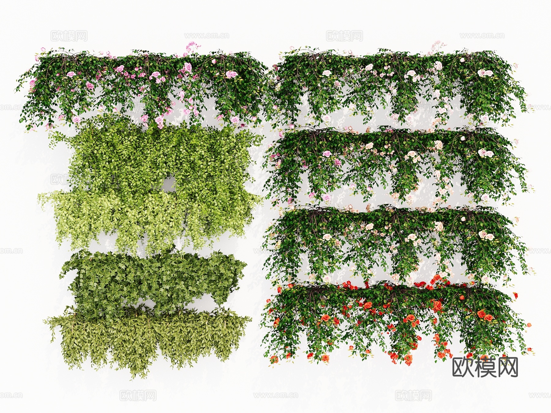 现代 藤蔓  爬藤爬墙绿植 蔷薇花 月季 绿篱 常春藤 牡丹3d模型