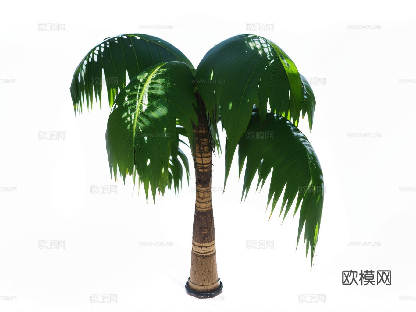 芭蕉树su模型