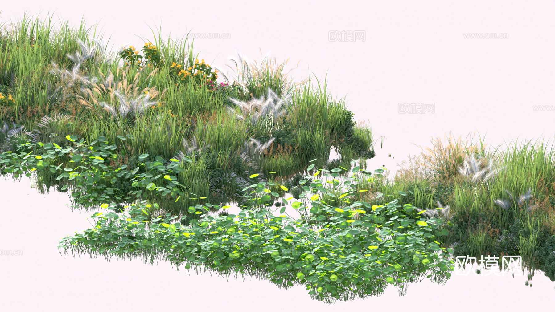 植物 花草 茅草 水草3d模型