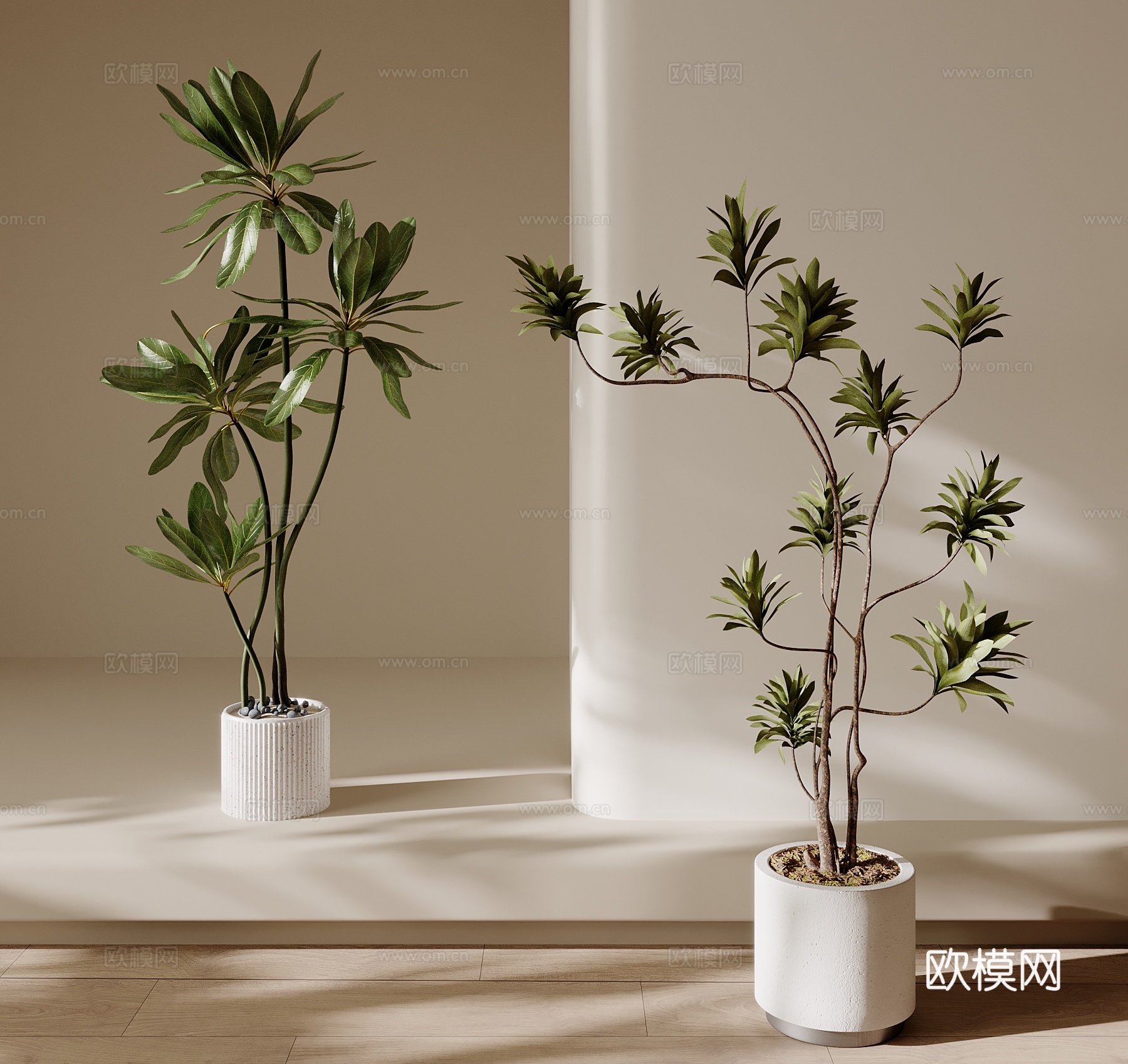 现代绿植盆栽 中古风绿植盆栽3d模型