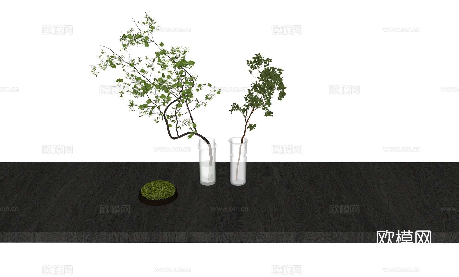 现代水养植物盆栽su模型