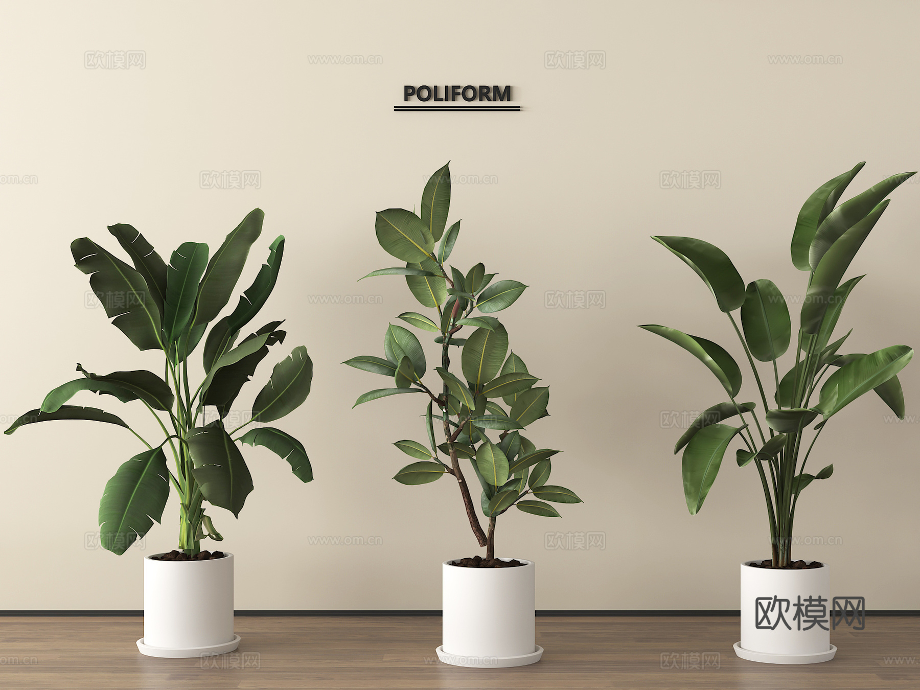 盆栽 盆景 绿植 植物3d模型