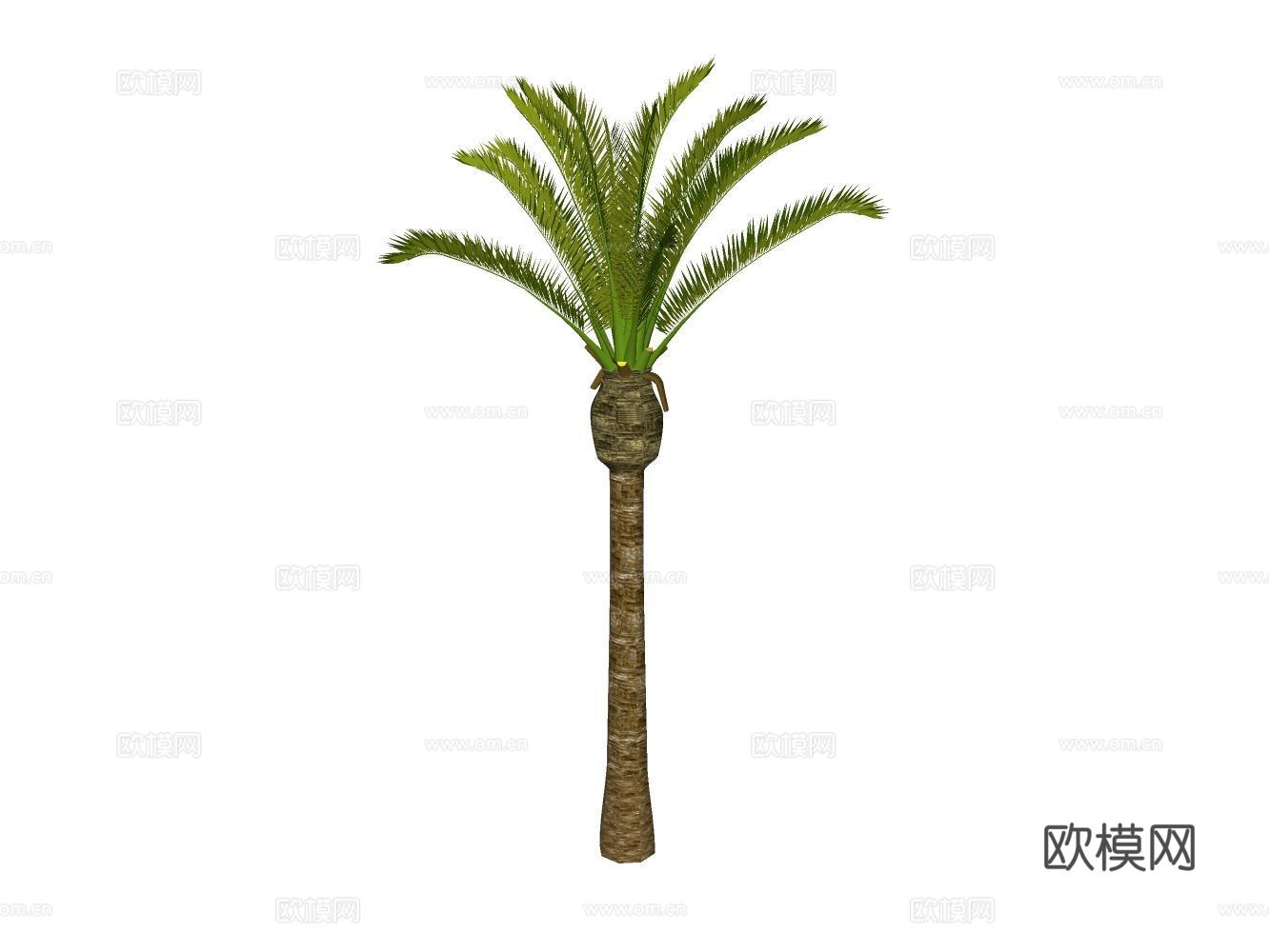 芭蕉树su模型