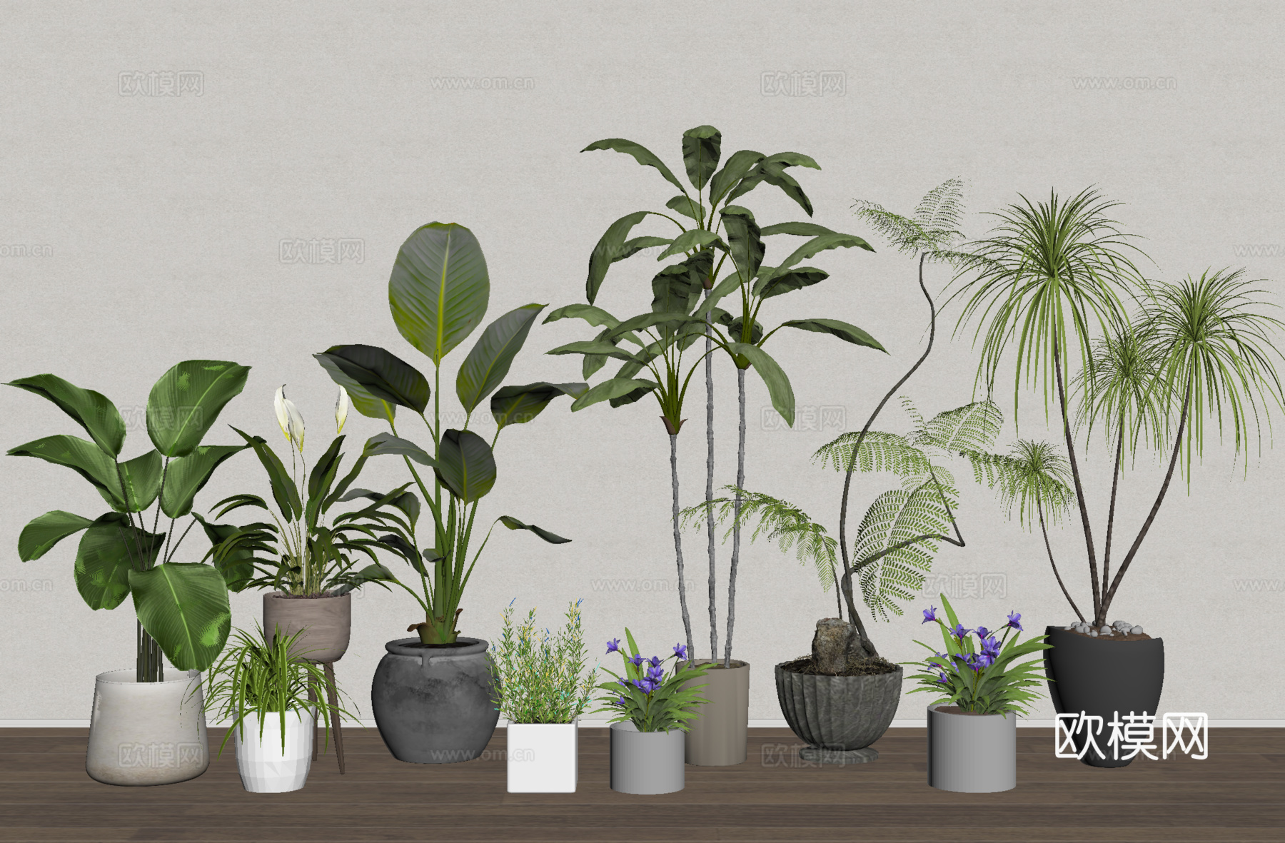 盆栽 盆景 植物 绿植su模型