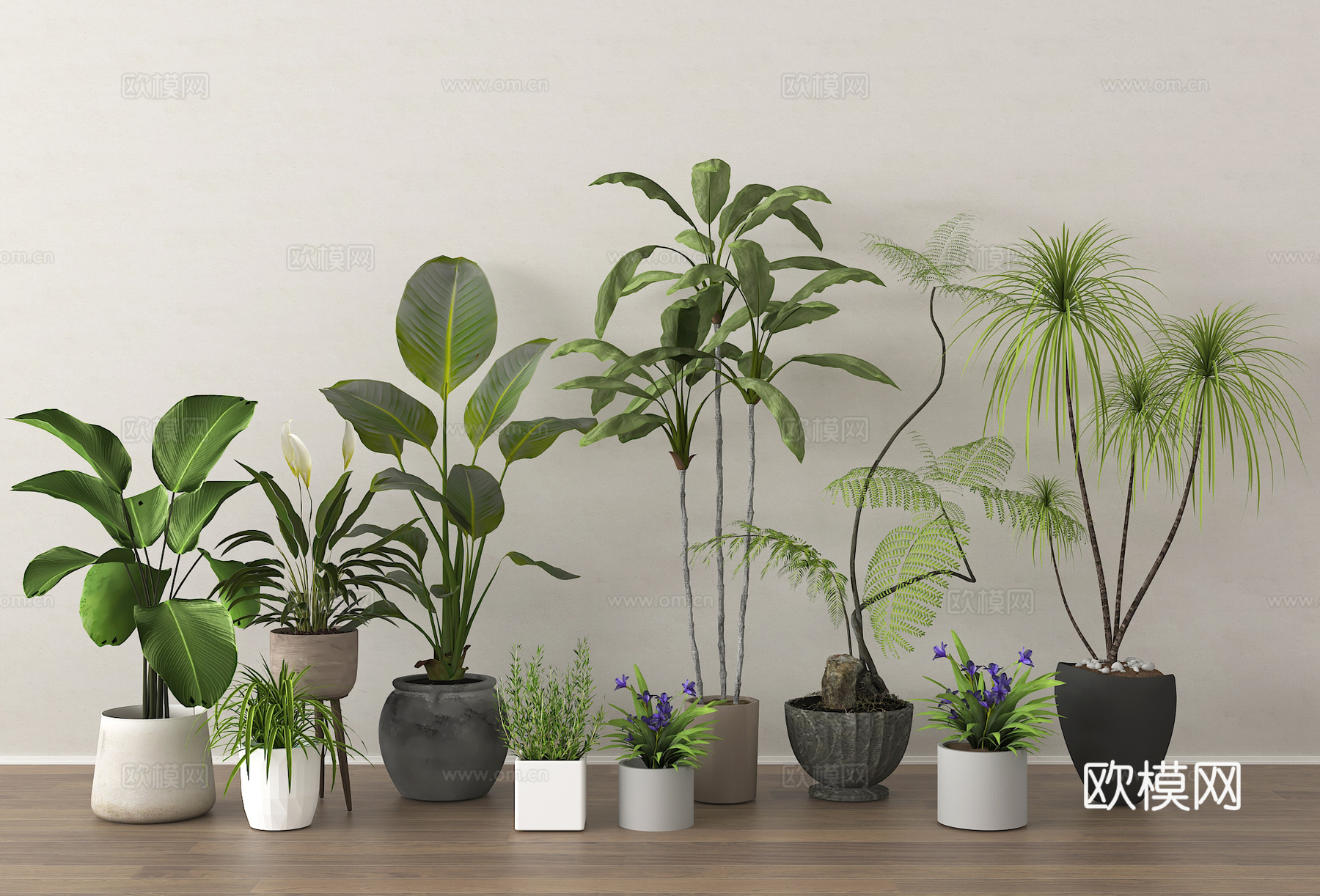 盆栽 盆景 植物 绿植3d模型