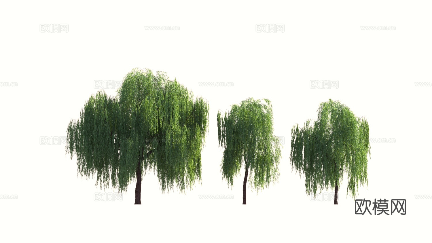 树木 植物 景观树 乔木 柳树3d模型