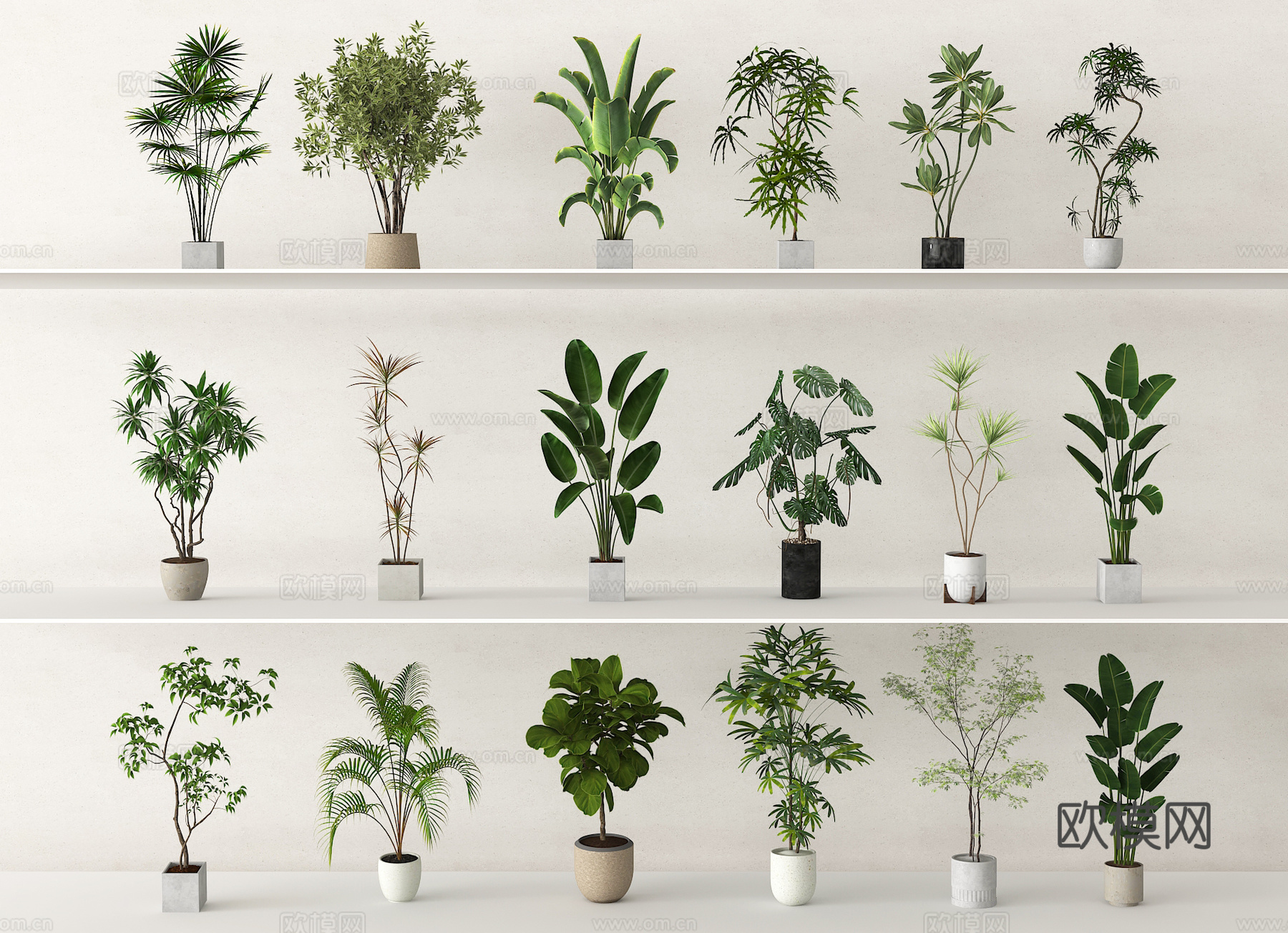 盆栽 盆景 绿植 植物su模型