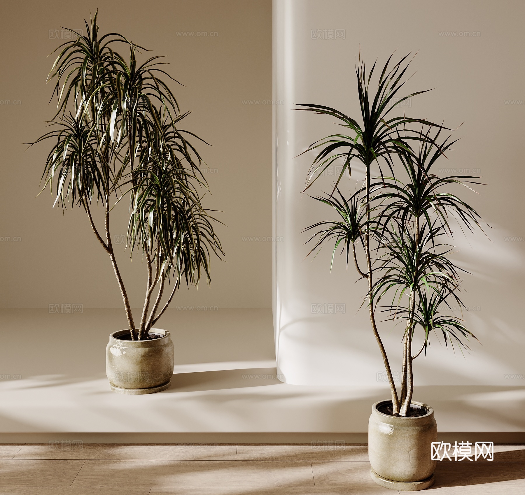 现代绿植盆栽 中古风绿植盆栽3d模型