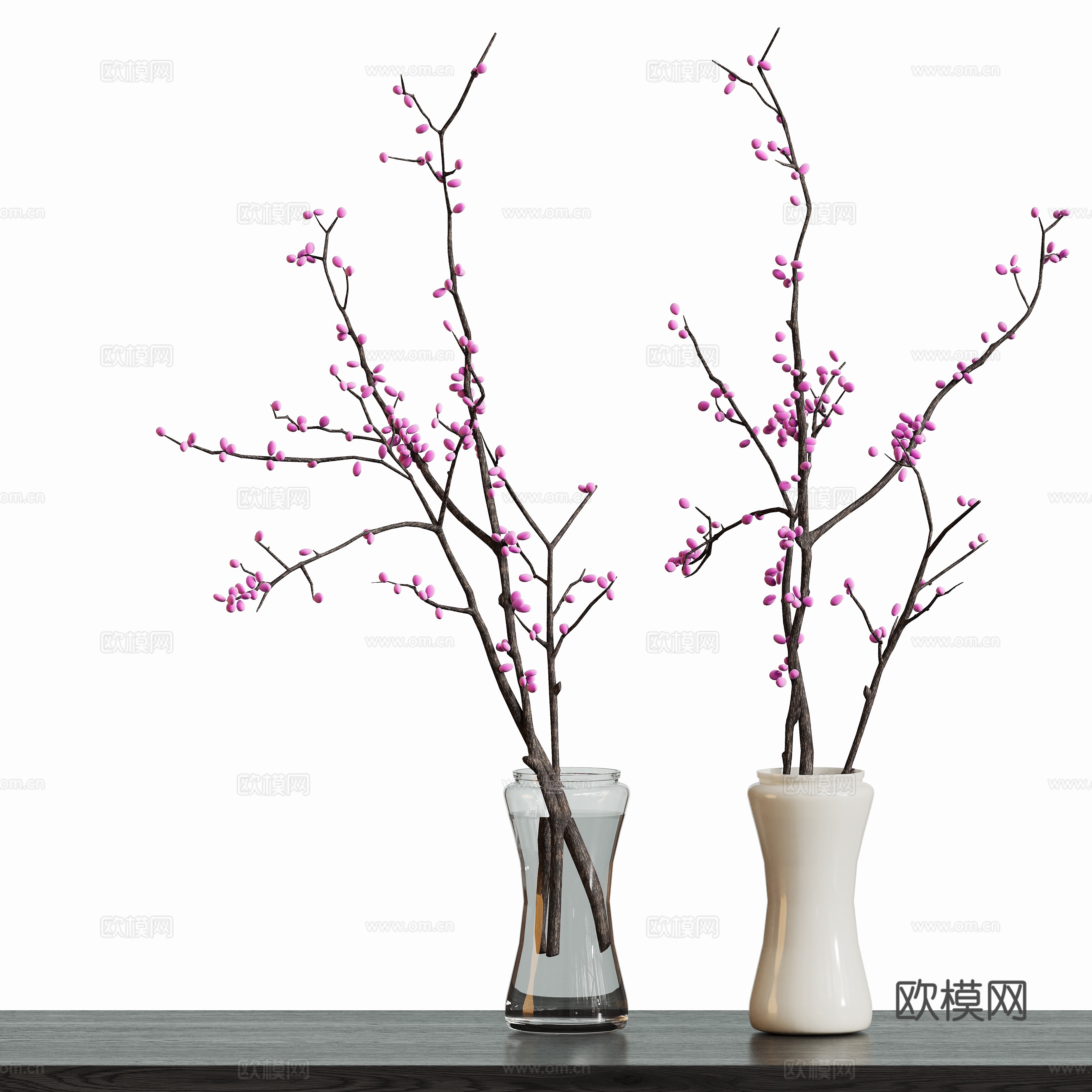 现代花瓶水养盆栽植物3d模型