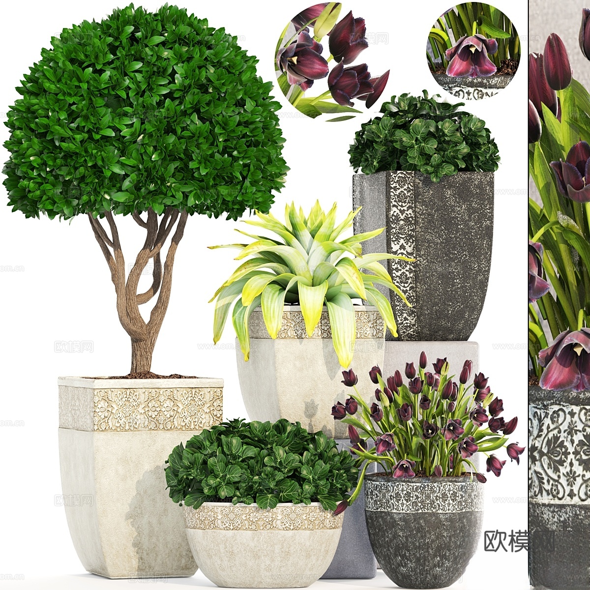 植物收藏 193. 景观设计，户外3d模型