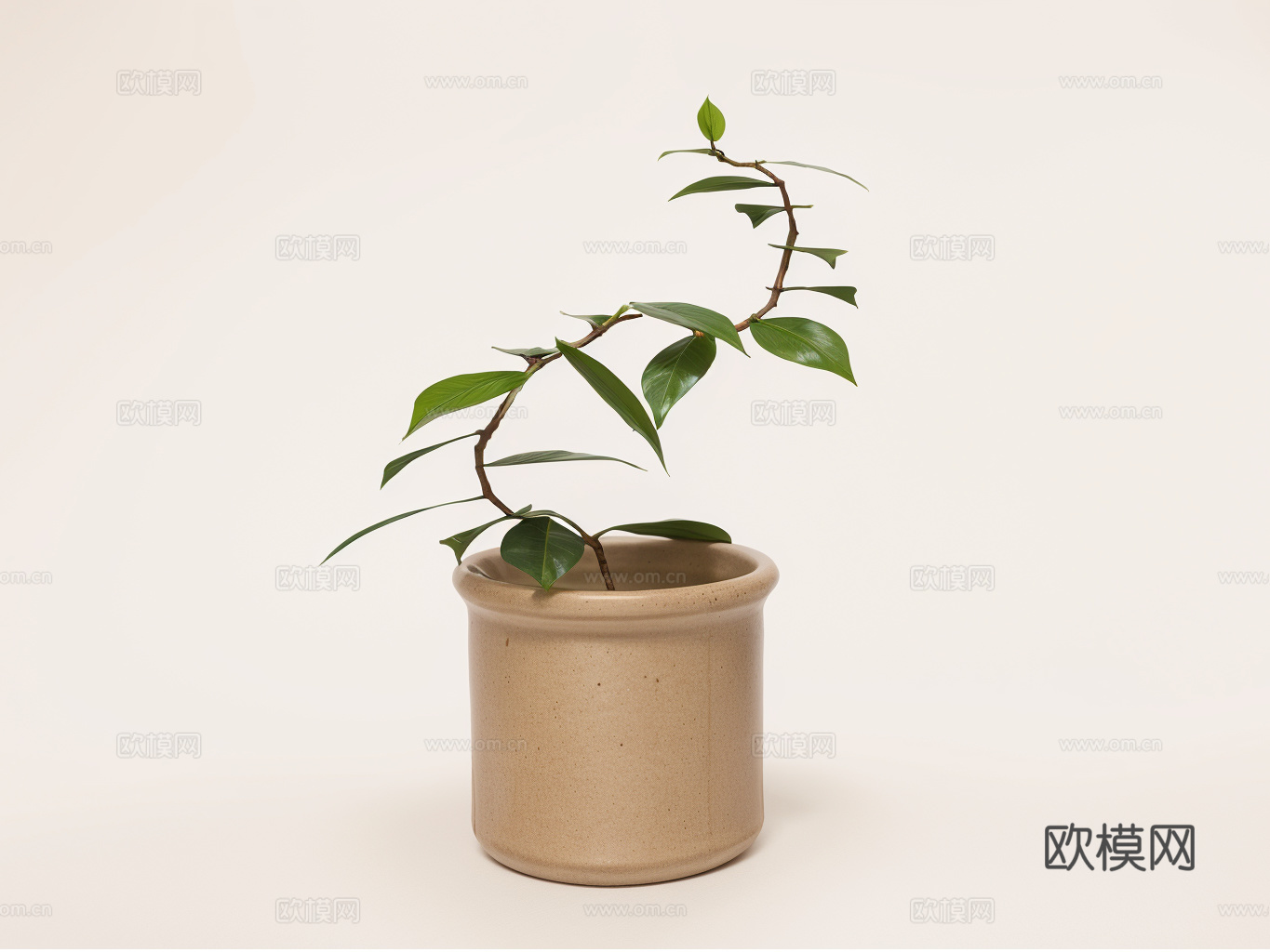 盆栽su模型