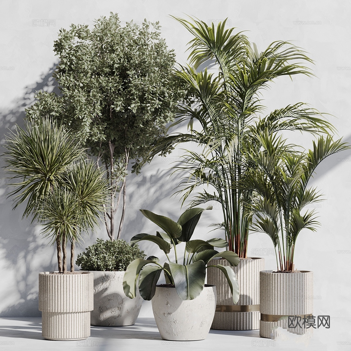 室内植物套装893d模型
