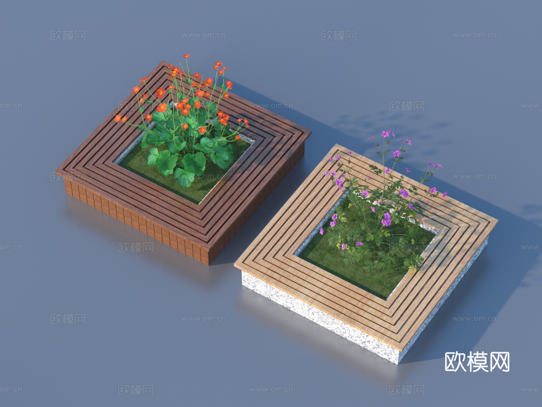 树池 花池 景观 植物3d模型