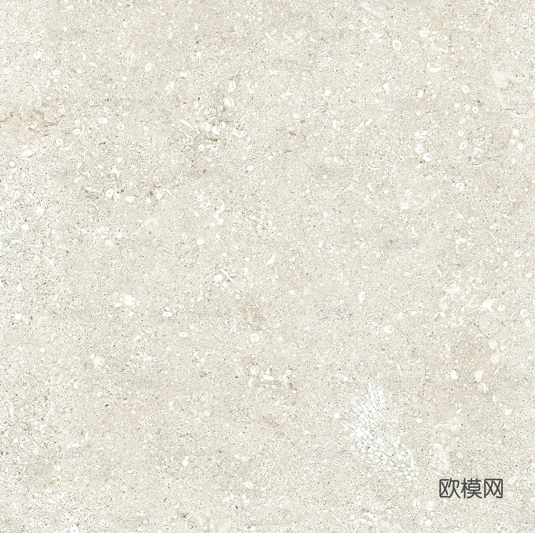 莱姆石瓷砖