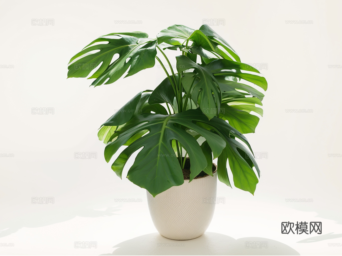 盆栽su模型