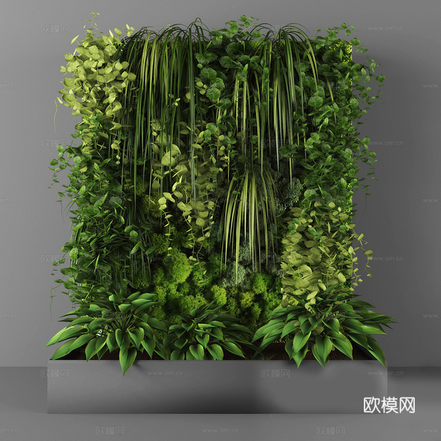 现代植物墙 植物墙 植物3d模型